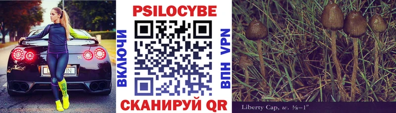 ссылка на мегу зеркало  Хилок  Псилоцибиновые грибы MAGIC MUSHROOMS 